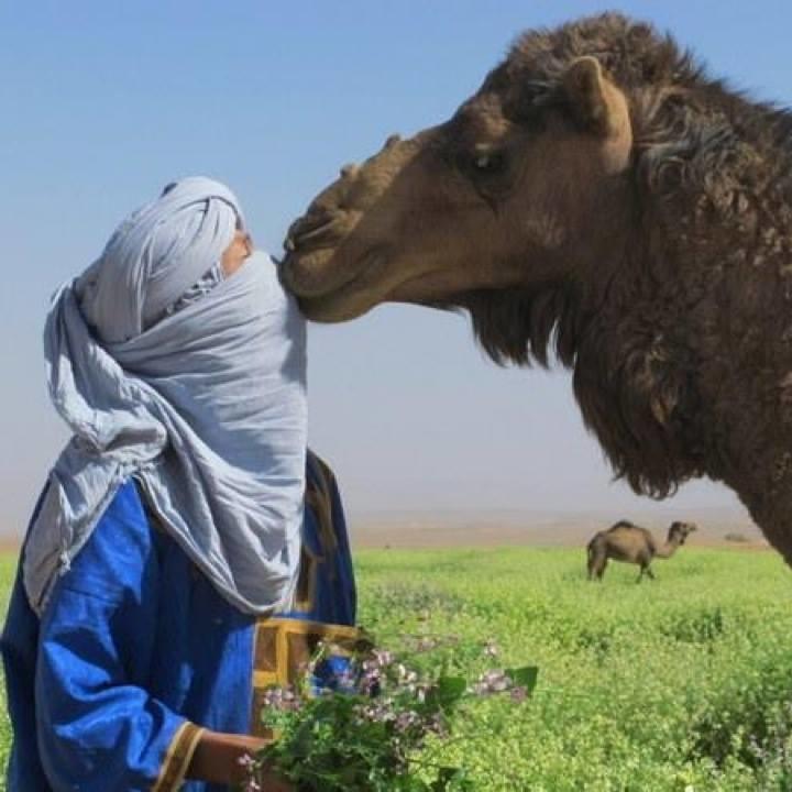 Riad De Rêve Zagora Buitenkant foto